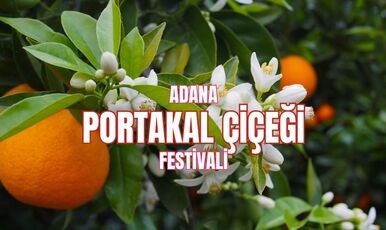 ADANA PORTAKAL ÇİÇEĞİ FESTİVALİ VE LEZZET TURU