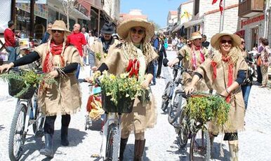 ALAÇATI OT FESTİVALİ VE  EGE TURU 