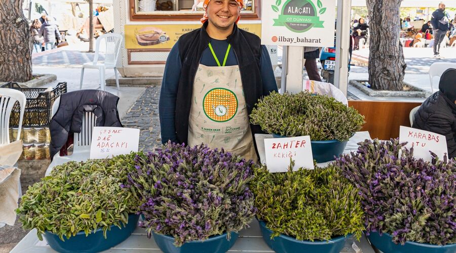 ALAÇATI OT FESTİVALİ VE  EGE TURU 