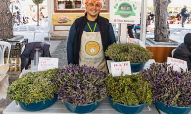 ALAÇATI OT FESTİVALİ VE  EGE TURU 