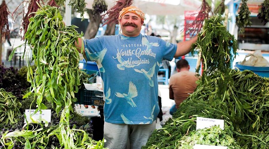 ALAÇATI OT FESTİVALİ VE  EGE TURU 