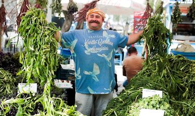 ALAÇATI OT FESTİVALİ VE  EGE TURU 