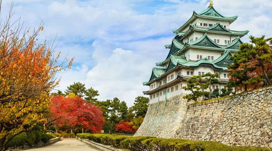 JAPONYA -KORE TURU
