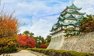 JAPONYA -KORE TURU