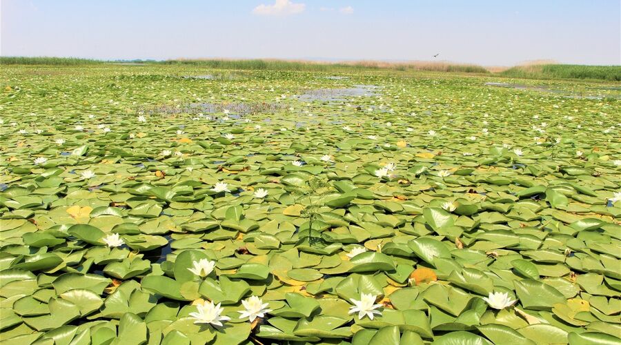 ISPARTA GÜL BAHÇELERİ ÇİVRİL IŞIKLI GÖL VE KİRAZLIDERE CAM TERAS TURU