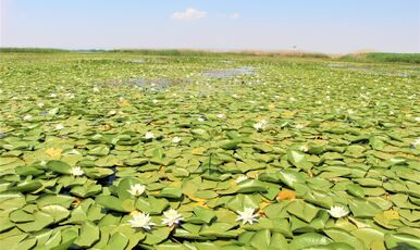 ISPARTA GÜL BAHÇELERİ ÇİVRİL IŞIKLI GÖL VE KİRAZLIDERE CAM TERAS TURU