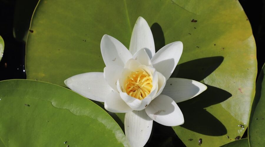 ISPARTA GÜL BAHÇELERİ ÇİVRİL IŞIKLI GÖL VE KİRAZLIDERE CAM TERAS TURU