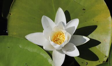 ISPARTA GÜL BAHÇELERİ ÇİVRİL IŞIKLI GÖL VE KİRAZLIDERE CAM TERAS TURU