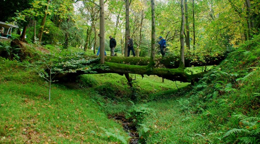 BATUM KONAKLAMALI ÖZEL UÇAKLI KARADENİZ TURU