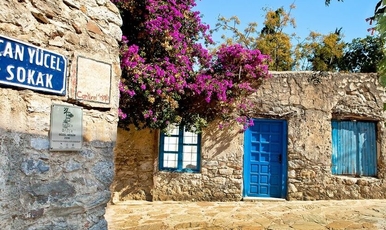 DATÇA BADEM ÇİÇEĞİ FESTİVALİ