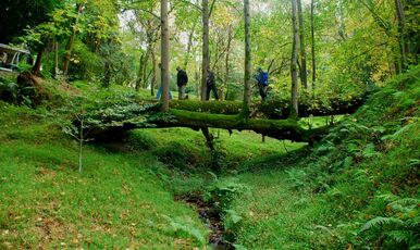 TİFLİS BATUM GÜRCİSTAN VE DOĞU KARADENİZ TURU