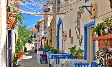 ALAÇATILI EGE TURU (İZMİR TİRE BİRGE ÖDEMİŞ)