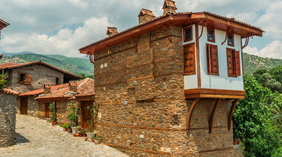 ALAÇATILI EGE TURU (İZMİR TİRE BİRGE ÖDEMİŞ)