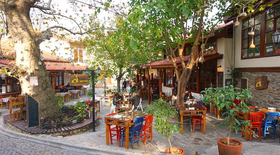 ALAÇATILI EGE TURU (İZMİR TİRE BİRGE ÖDEMİŞ)