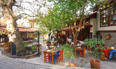 ALAÇATILI EGE TURU (İZMİR TİRE BİRGE ÖDEMİŞ)