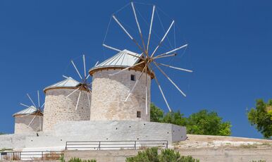 ALAÇATILI EGE TURU (İZMİR TİRE BİRGE ÖDEMİŞ)