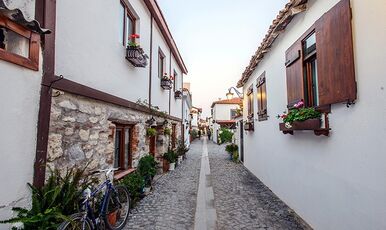 ALAÇATILI EGE TURU (İZMİR TİRE BİRGE ÖDEMİŞ)