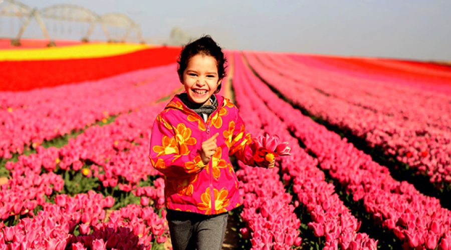 KONYA VE LALE BAHÇELERİ TURU