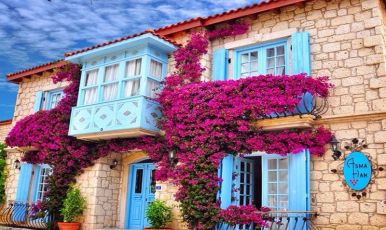 BAYINDIR ÇİÇEK FESTİVALİ VE EGE TURU