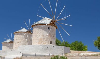 ALAÇATILI EGE TURU (İZMİR TİRE BİRGE ÖDEMİŞ)