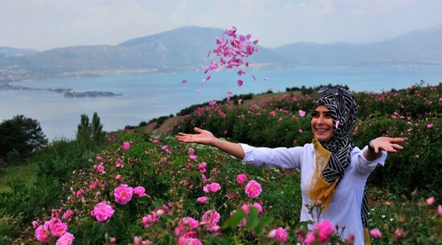 GÜL BAHÇELERİ NİLÜFER  BAHÇELERİ VE ISPARTA KİRAZLIDERE CAM TERAS TURU